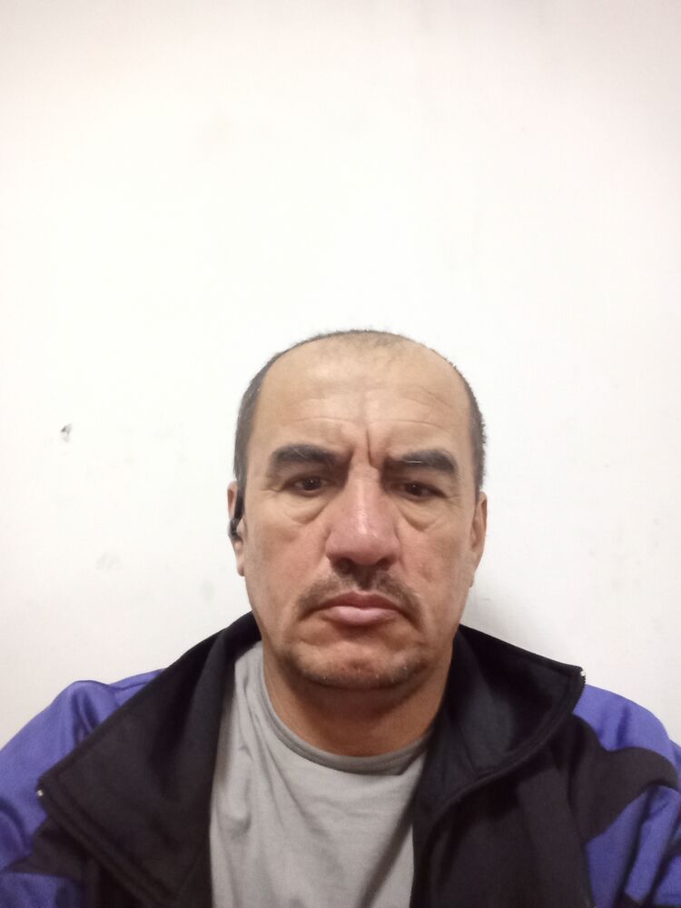 ���� 55584174 ������� ���������, 48 ���, ���� ���������� � �������