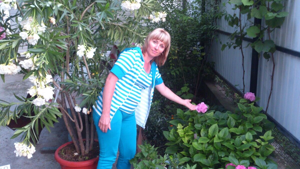  ,   , 52 ,  