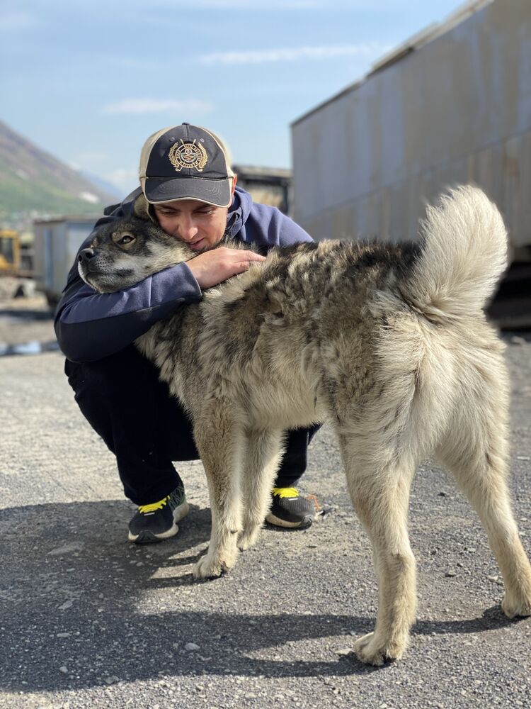 ���� 24385794 ������� ���������, 36 ���, ���� ���������� � ������������