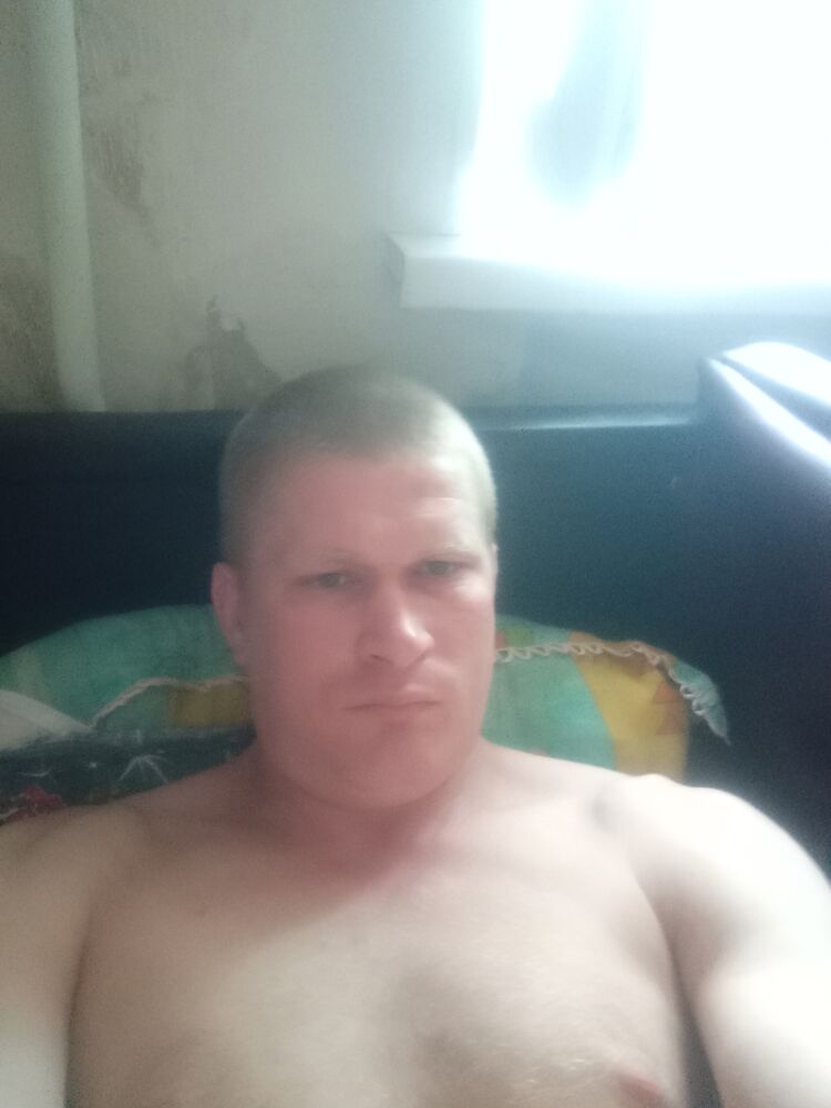  43951934  , 33 ,    