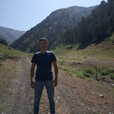 ���� 17682374 ������� ����, 34 ����, ���� ���������� � ������