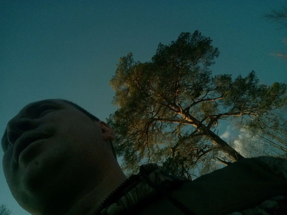  29700694  , 37 ,    