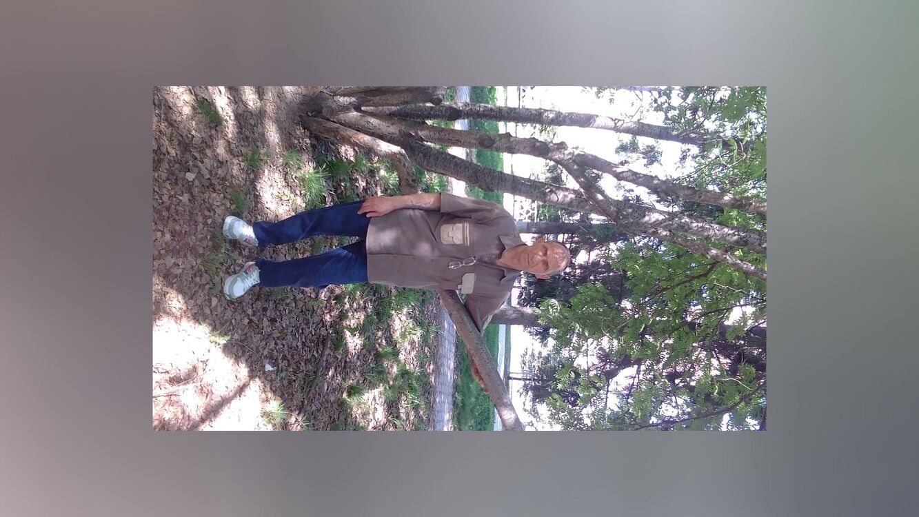  29070834  , 54 ,    