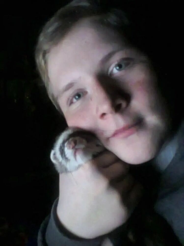 ���������� �������, ���� ������� ������, 28 ���, ������������ ��� ������, ����� � ���������, c�������� ���������