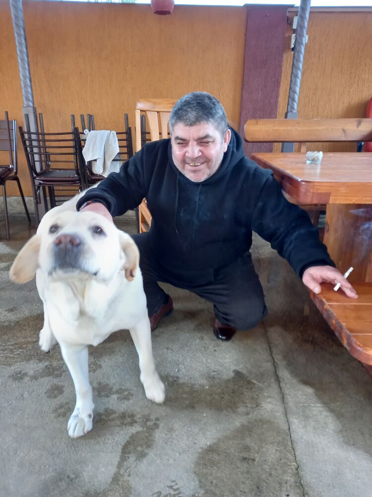 ���� 25271044 ������� �����, 50 ���, ���� ���������� � �������-��-����