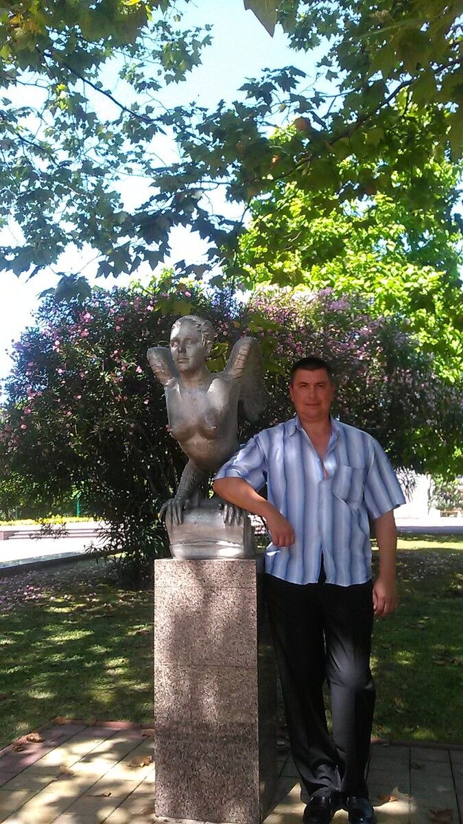 ���� 9965274 ������� Boba, 48 ���, ���� ���������� � ����