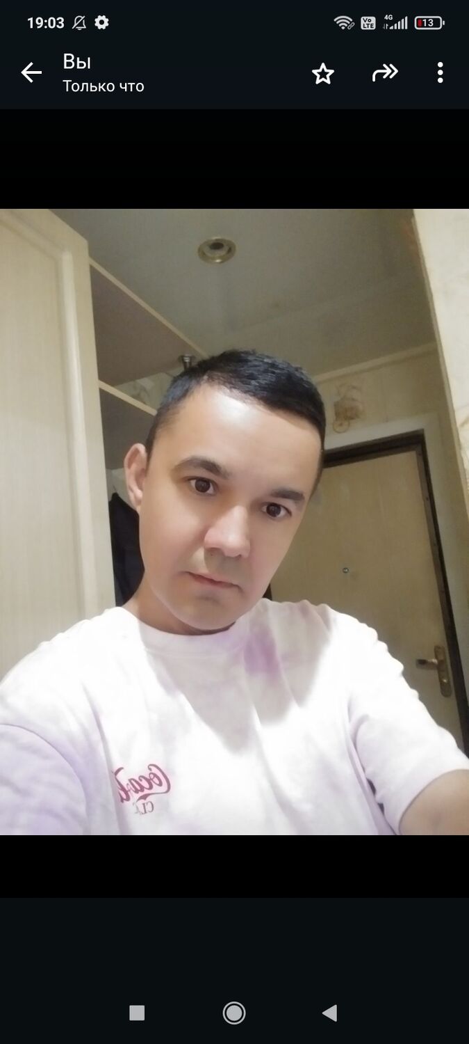  53306894  , 36 ,    