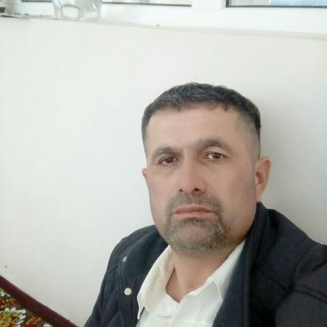  44545174  , 43 ,    