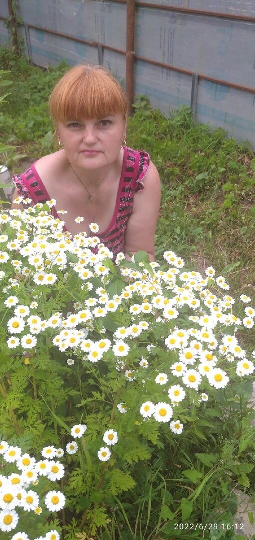 ���� 27624204 ������� ��������, 49 ���, ���� ���������� � ������������