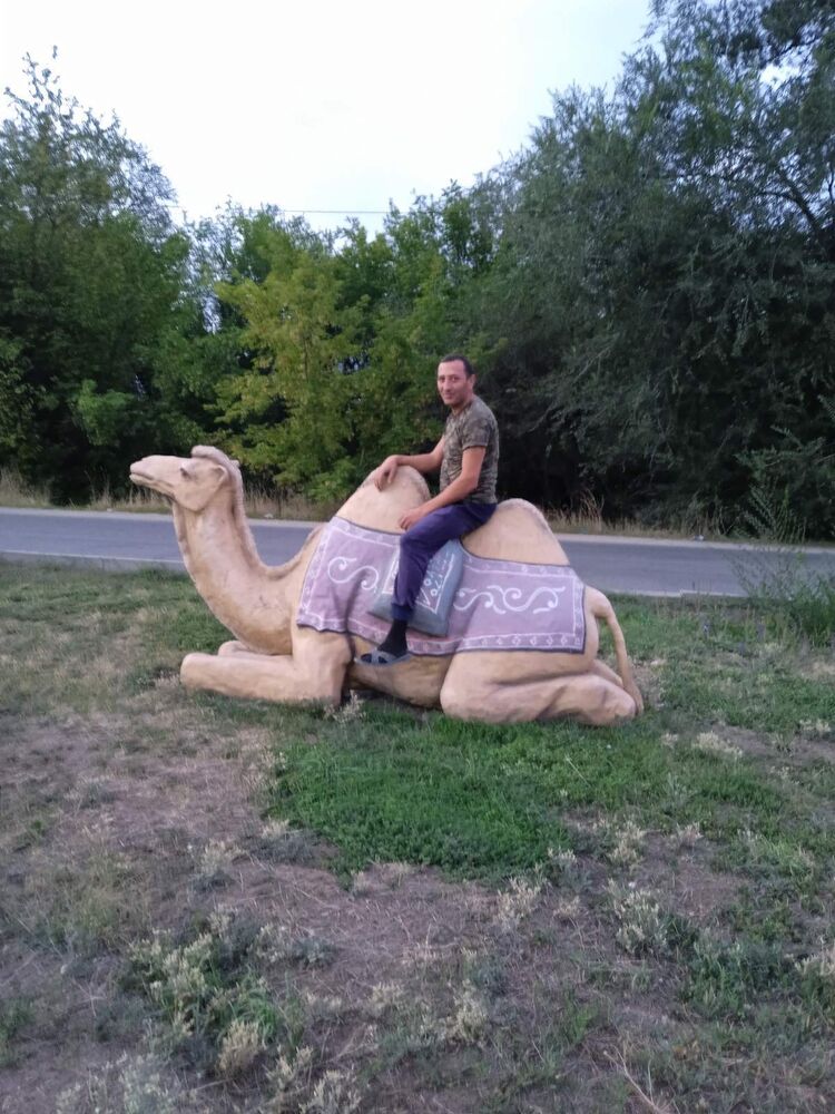 ���������� ������, ���� ������� �����, 40 ���, ������������ ��� ������, ����� � ���������