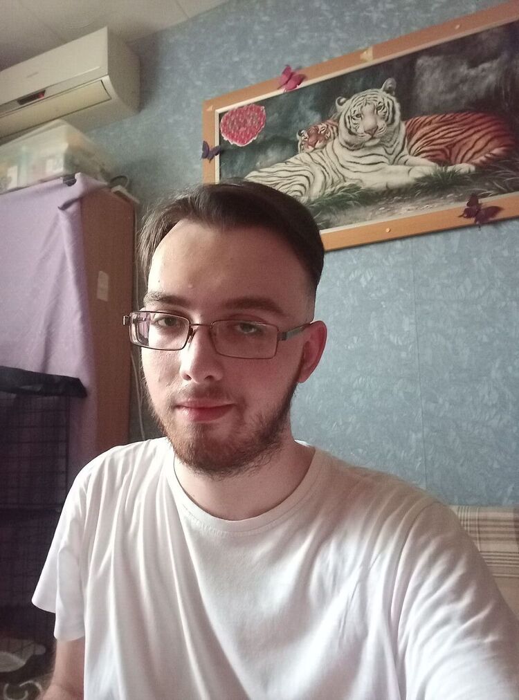  53526584  , 24 ,    --