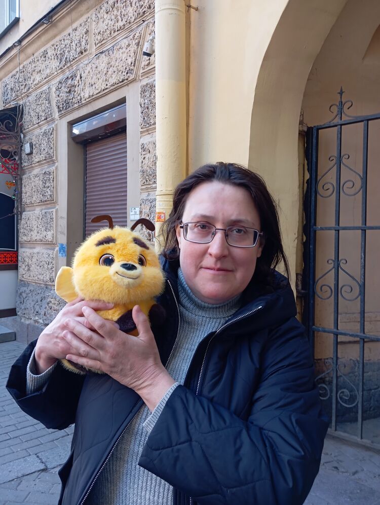  53378744  , 43 ,    -