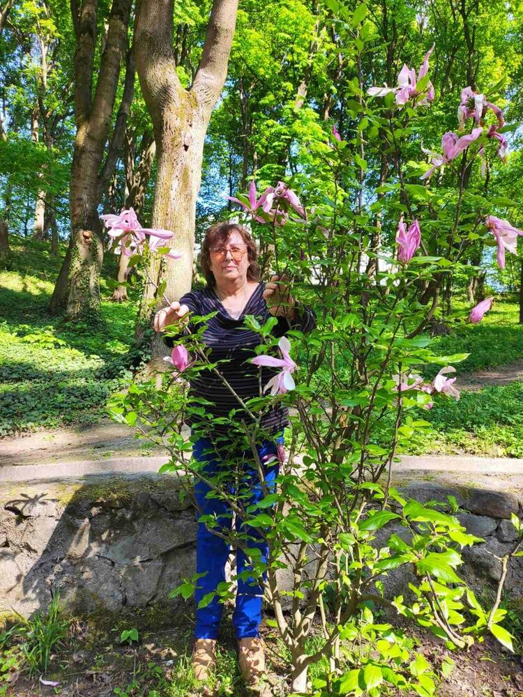 ���������� ������, ���� ������� ���, 65 ���, ������������ ��� ������, ����� � ���������