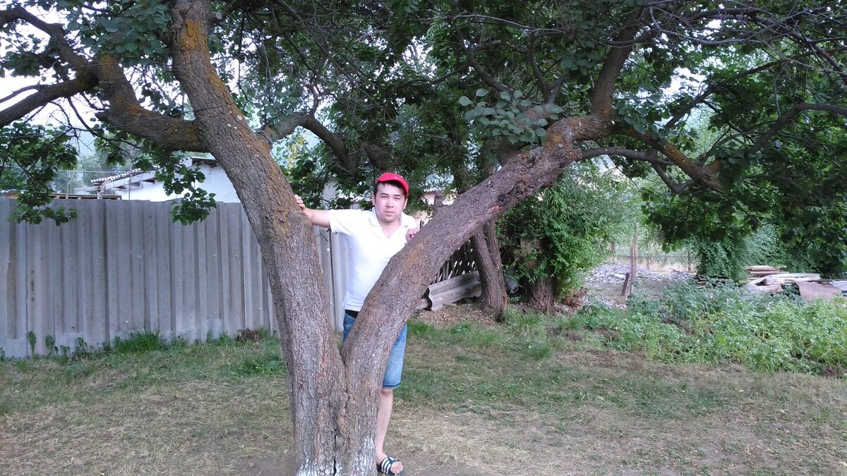  6247034  Smailo, 35 ,    