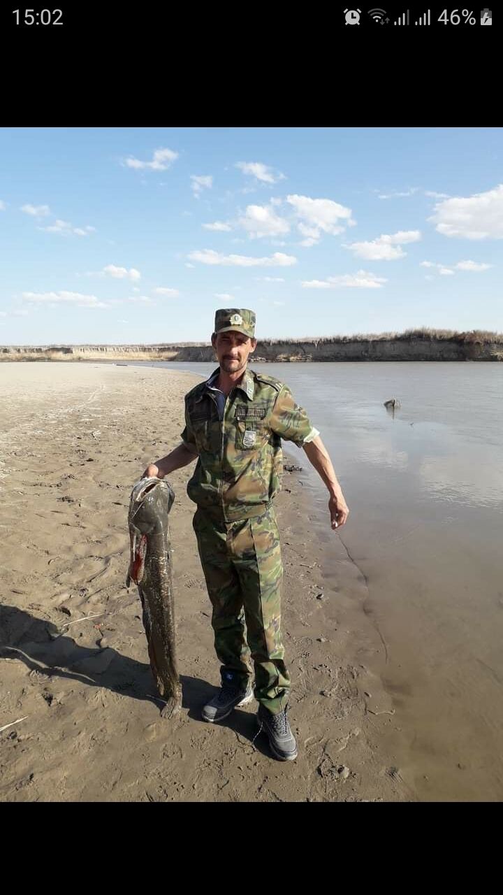 ���� 24479474 ������� �������, 50 ���, ���� ���������� � ������