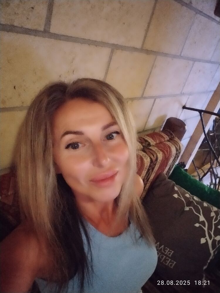  53339164  , 40 ,    