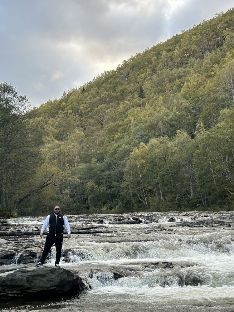 ���� 55806474 ������� Hamo, 27 ���, ���� ���������� � �����������