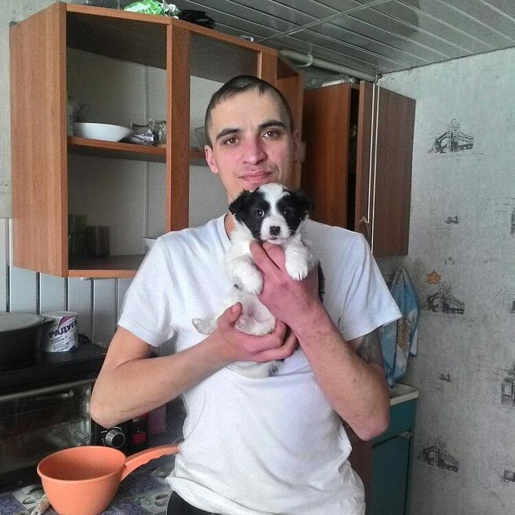  ,   , 37 ,   