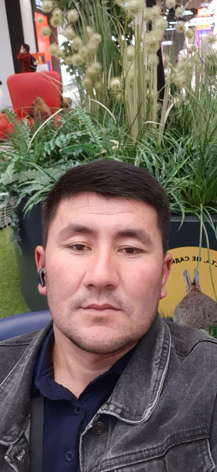 ���� 45033054 ������� ����, 31 ���, ���� ���������� � ������