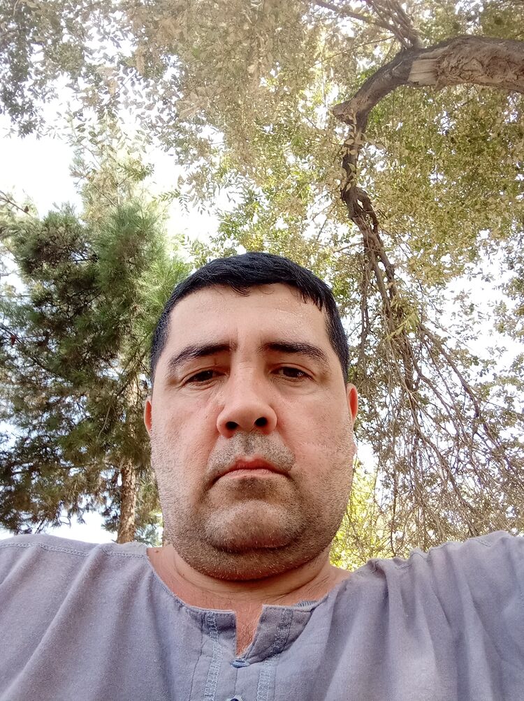  23488984  , 45 ,    