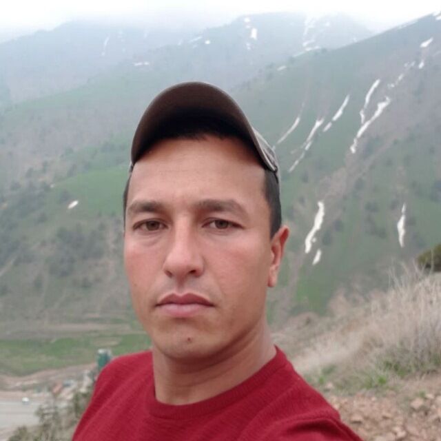 ���� 33988204 ������� �����, 33 ����, ���� ���������� � ������