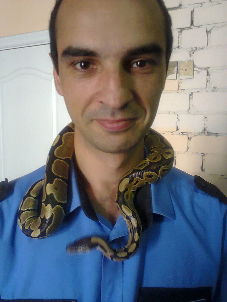 ���������� �������, ���� ������� �����, 44 ����, ������������ 