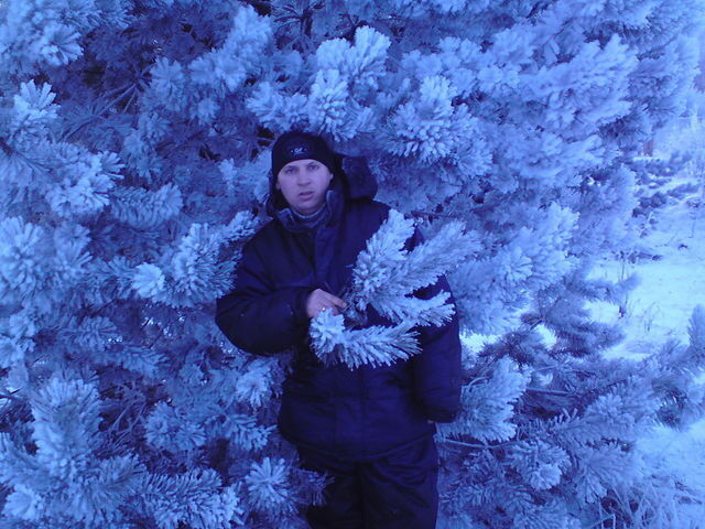  ,   DIMON, 41 ,   