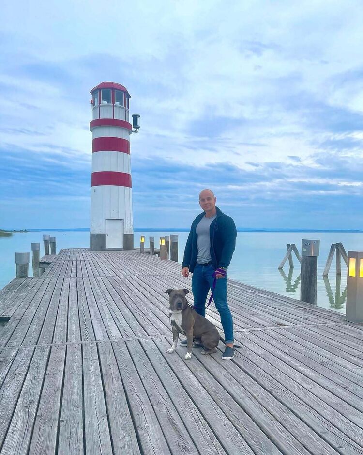 ���������� ���������, ���� ������� ������, 38 ���, ������������ ��� ������, ����� � ���������, c�������� ���������