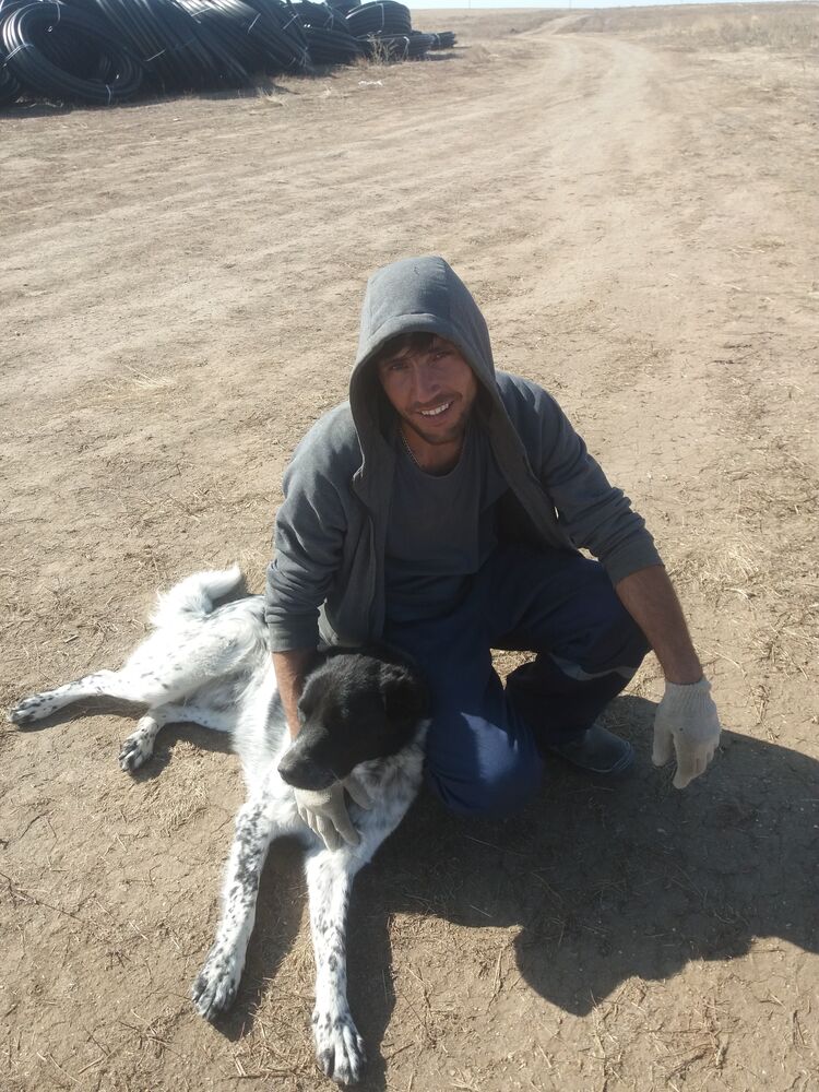 ���� 22911464 ������� �����, 32 ����, ���� ���������� � ������