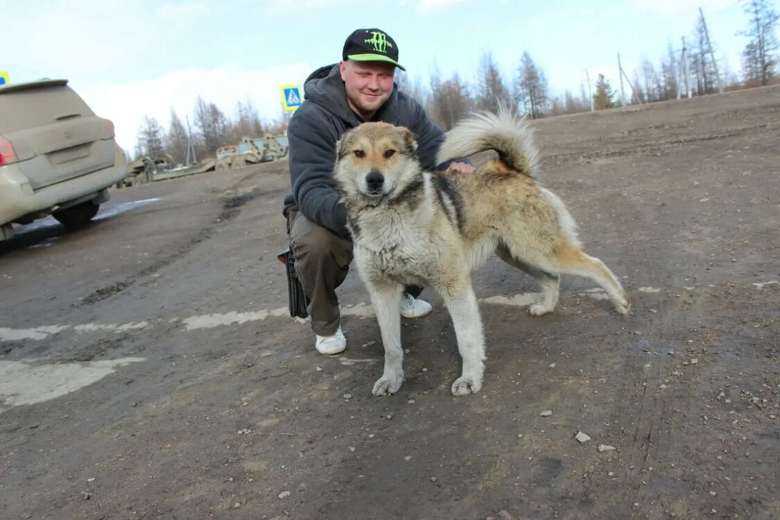  33505384  Sergey, 39 ,    
