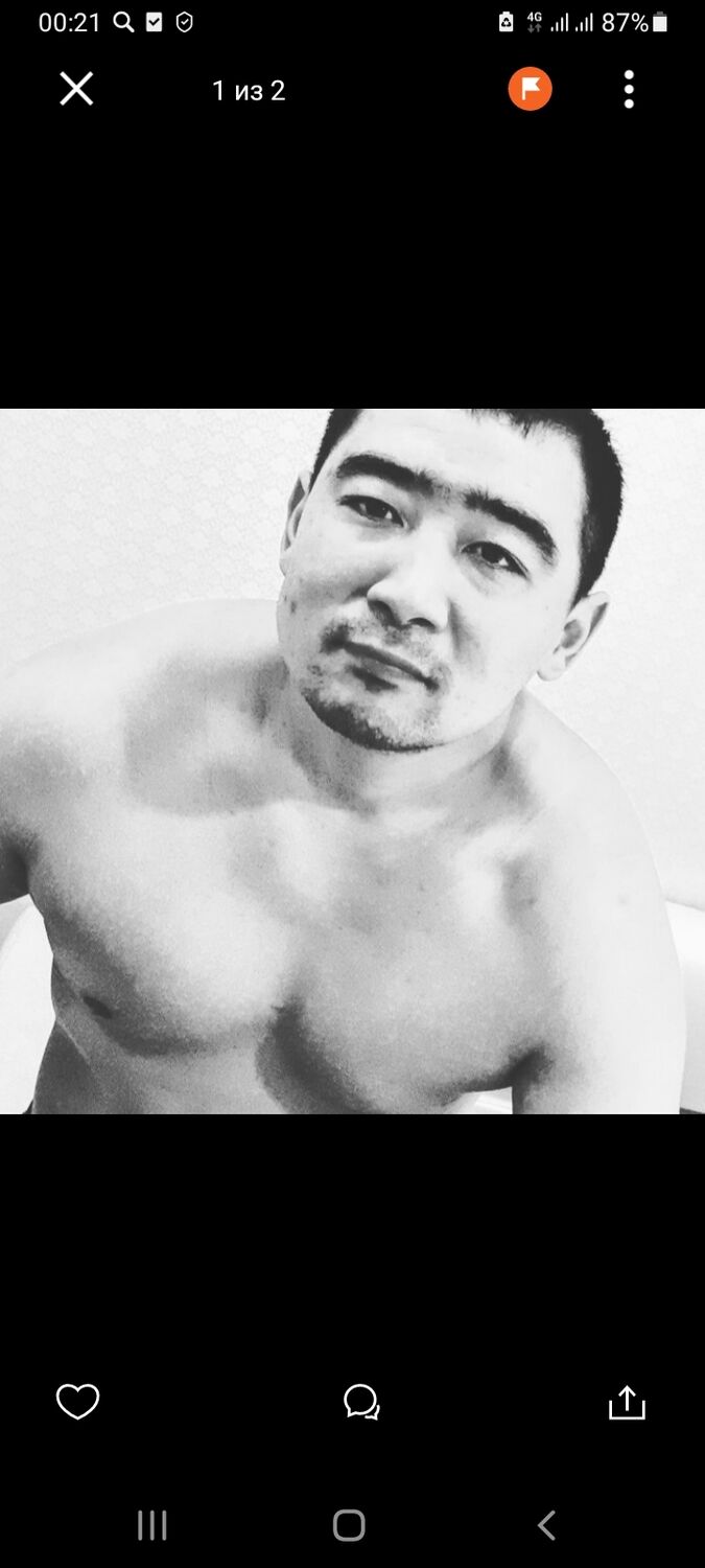 ���������� ����, ���� ������� �������, 36 ���, ������������ ��� ������, ����� � ���������