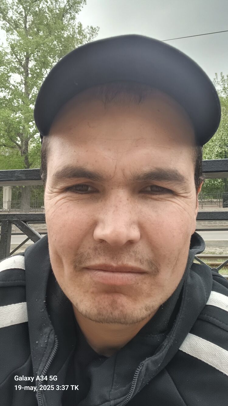  52521534  , 29 ,    