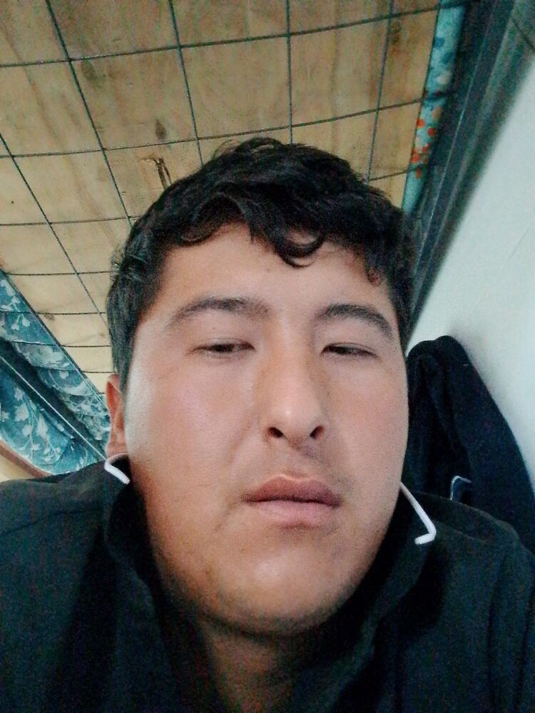  43922214  , 26 ,    