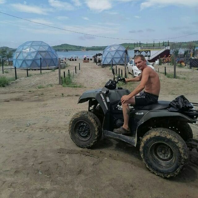  31138744  , 42 ,    