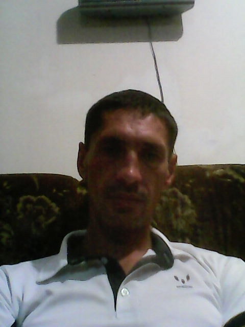  7979054  , 46 ,    