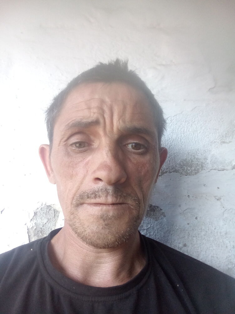  45012194  , 44 ,    