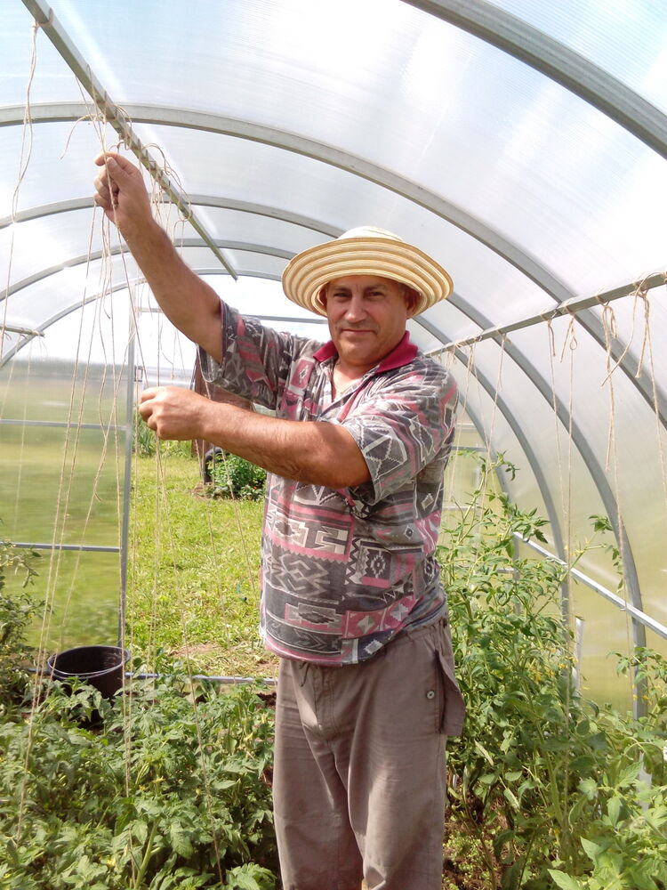 ���������� ������, ���� ������� �������, 67 ���, ������������ ��� ������, ����� � ���������, c�������� ���������, ���������