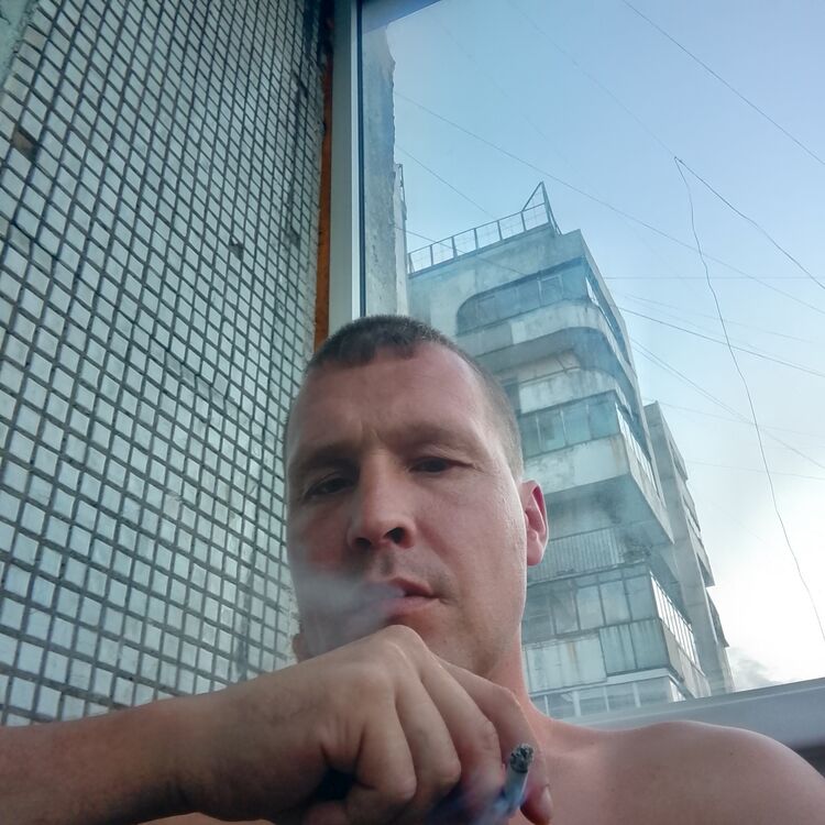  53231454  , 34 ,    