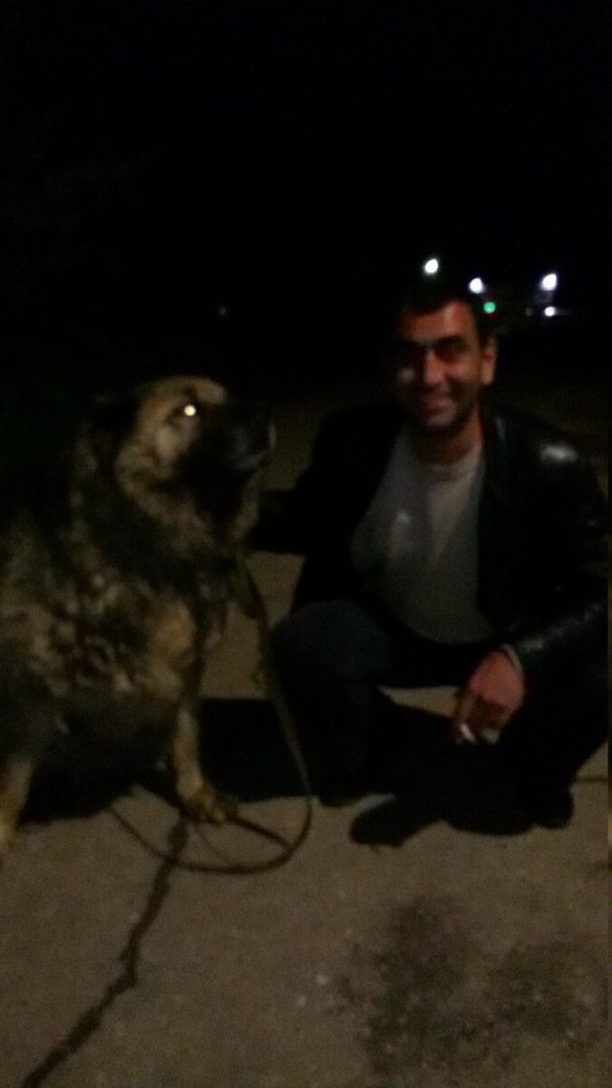 ���� 9807474 ������� �����, 43 ����, ���� ���������� � ������