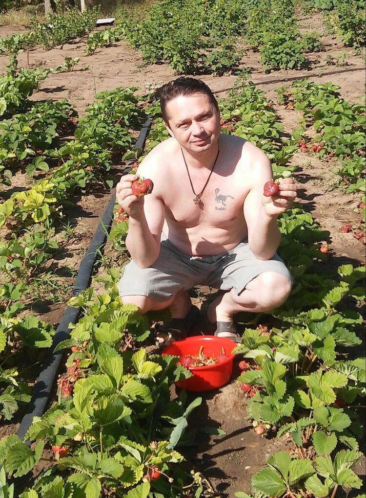 ���������� ������, ���� ������� ������, 55 ���, ������������ ��� ������, ����� � ���������, c�������� ���������