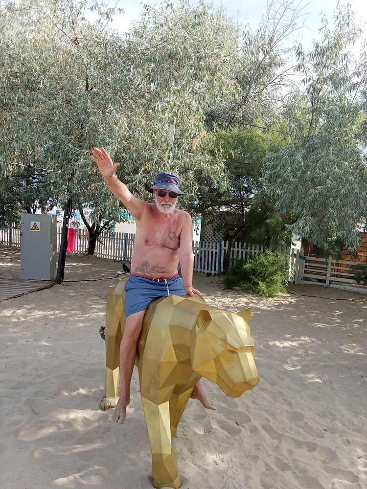  44337614  , 66 ,    