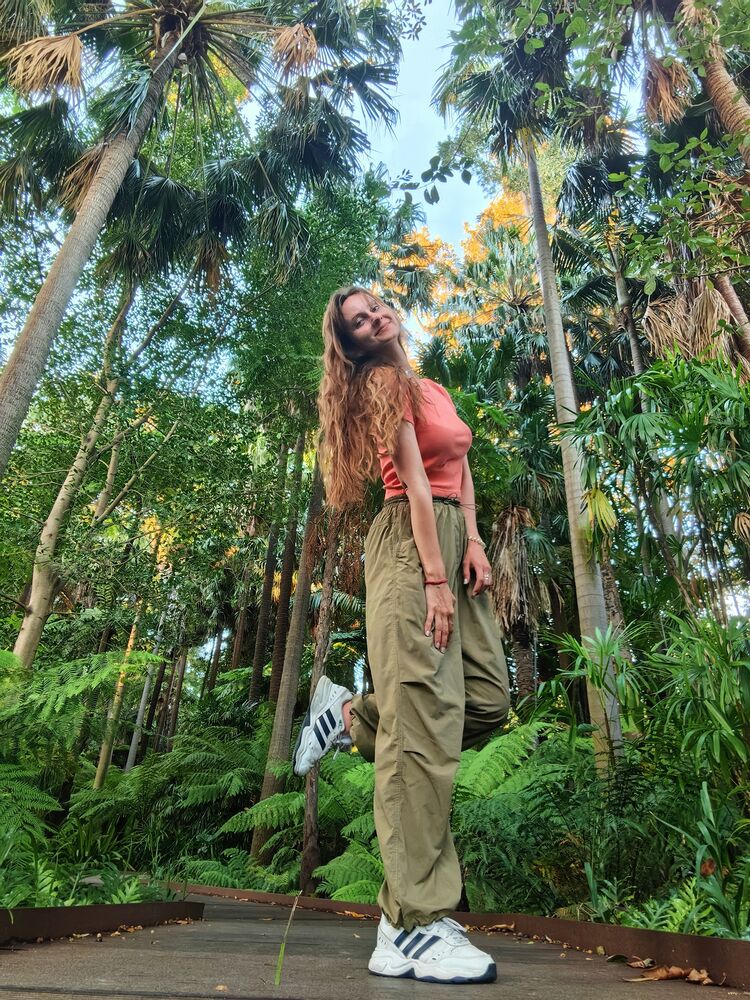 ���������� ������, ���� ������� ���������, 29 ���, ������������ ��� c�������� ���������