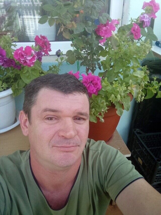 ���� 22056904 ������� �����, 44 ����, ���� ���������� � ������������