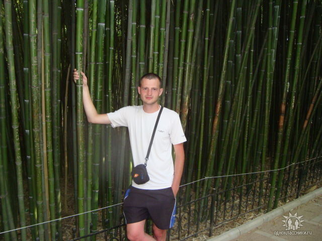 ���� 8663844 ������� Koks, 43 ����, ���� ���������� � �����