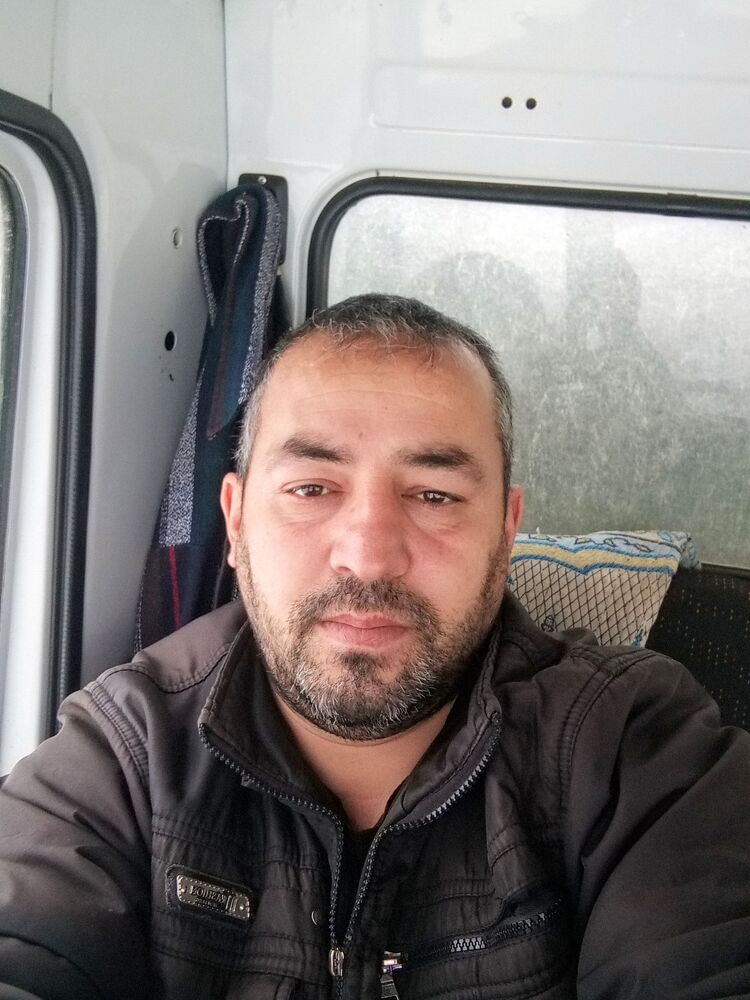  33173494  , 43 ,    