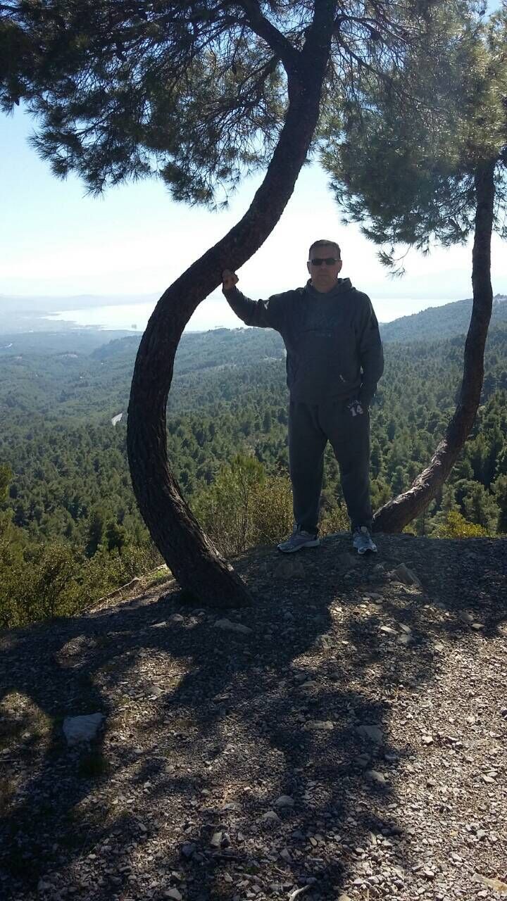  42691684  , 52 ,    