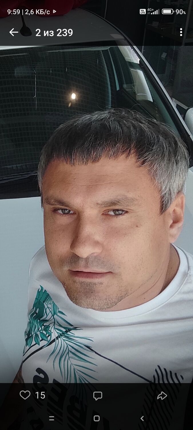  38536134  , 43 ,    