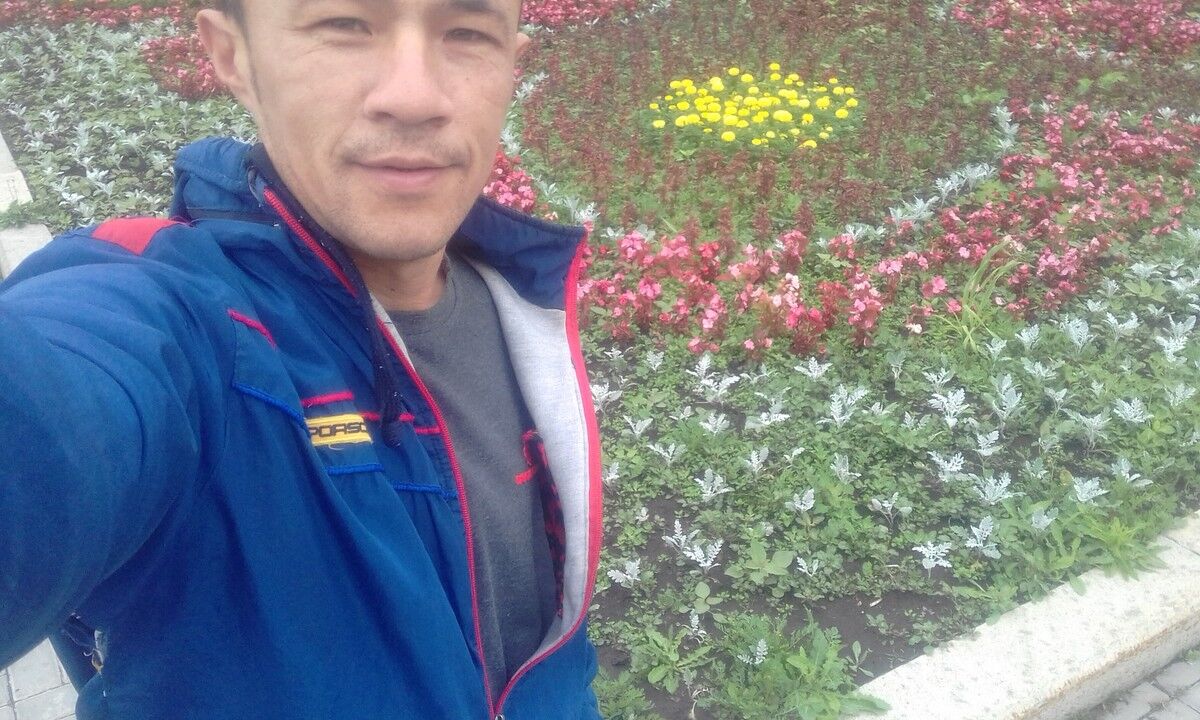 ���� 16688254 ������� Um��, 38 ���, ���� ���������� � ������