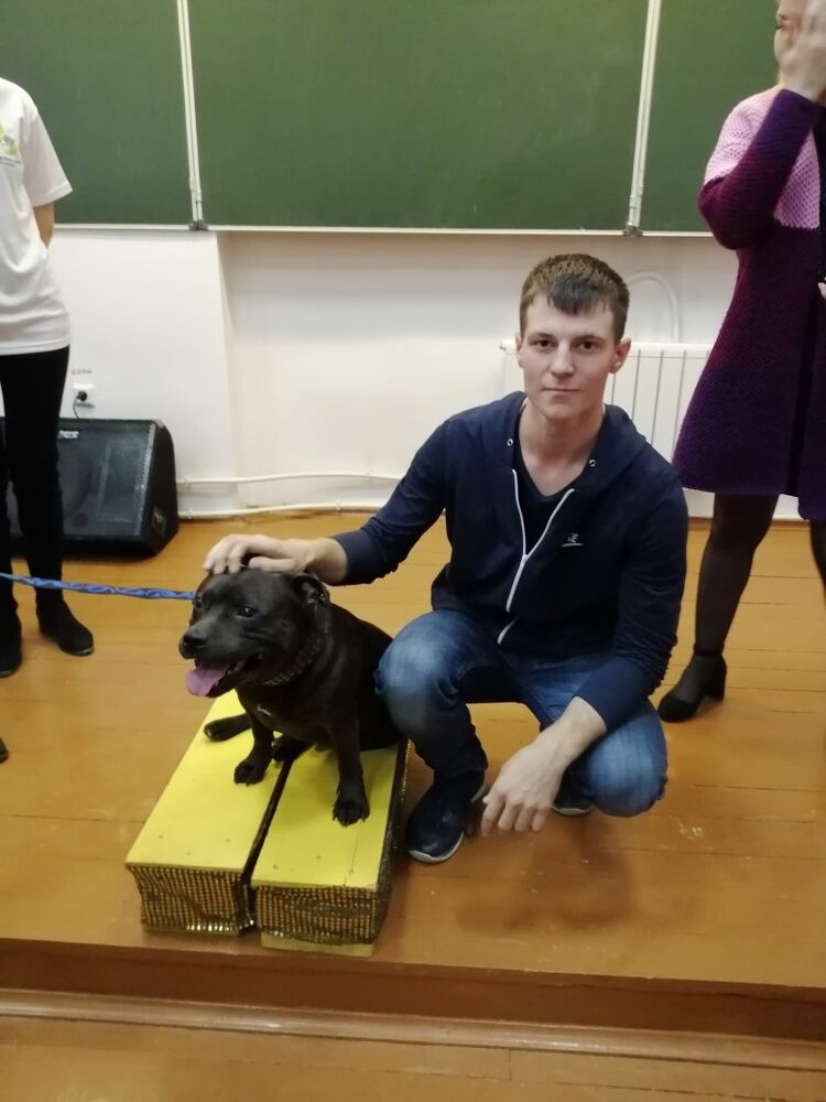  ,   Marazmatik, 25 ,  