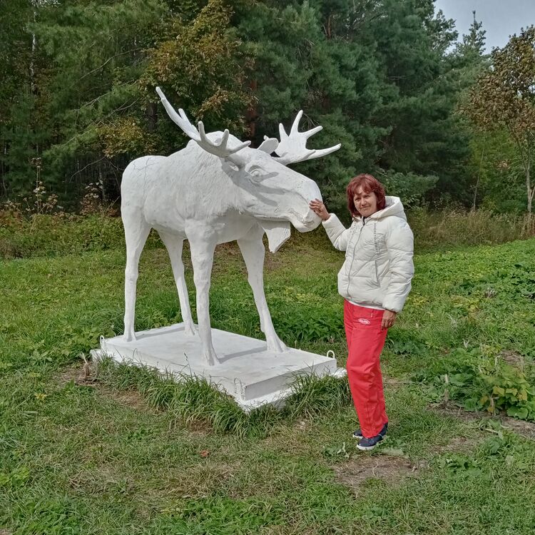 ���������� ������ ��������, ���� ������� �����, 49 ���, ������������ ��� ������, ����� � ���������, c�������� ���������